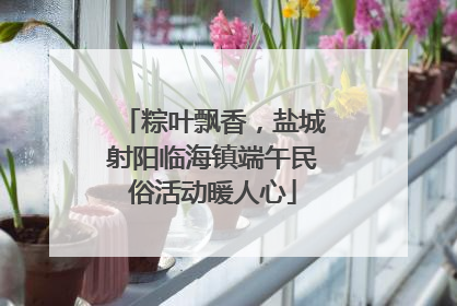 粽叶飘香，盐城射阳临海镇端午民俗活动暖人心