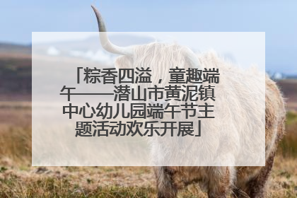 粽香四溢，童趣端午——潜山市黄泥镇中心幼儿园端午节主题活动欢乐开展