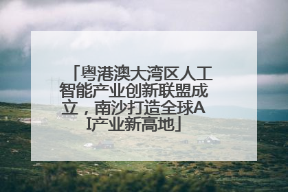 粤港澳大湾区人工智能产业创新联盟成立，南沙打造全球AI产业新高地