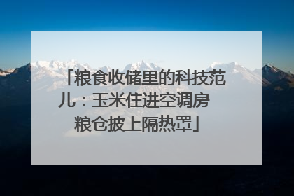 粮食收储里的科技范儿：玉米住进空调房 粮仓披上隔热罩