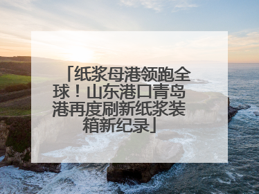 纸浆母港领跑全球！山东港口青岛港再度刷新纸浆装箱新纪录