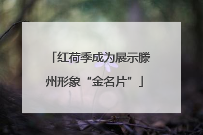 红荷季成为展示滕州形象“金名片”