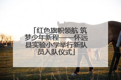 红色旗帜领航 筑梦少年新程——怀远县实验小学举行新队员入队仪式