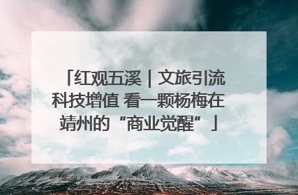 红观五溪｜文旅引流 科技增值 看一颗杨梅在靖州的“商业觉醒”