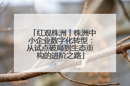 红观株洲丨株洲中小企业数字化转型：从试点破局到生态重构的进阶之路