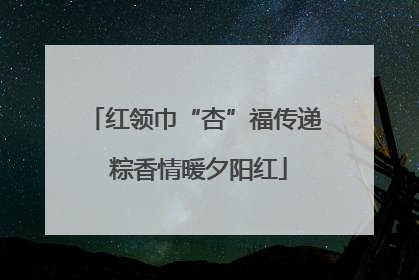 红领巾“杏”福传递 粽香情暖夕阳红