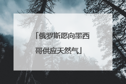 俄罗斯愿向墨西哥供应天然气