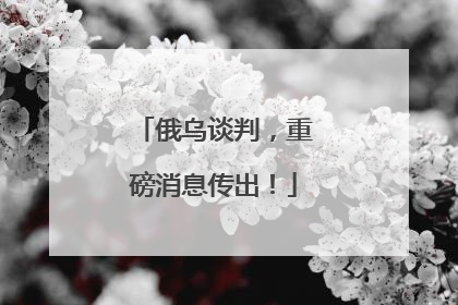 俄乌谈判，重磅消息传出！