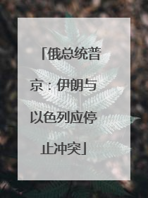 俄总统普京：伊朗与以色列应停止冲突