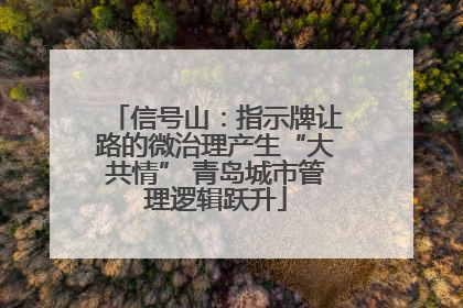 信号山：指示牌让路的微治理产生“大共情” 青岛城市管理逻辑跃升