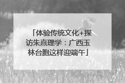体验传统文化+探访朱熹理学：广西玉林台胞这样迎端午