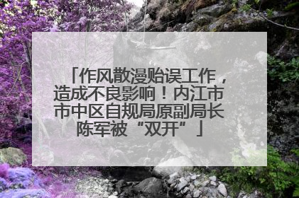 作风散漫贻误工作，造成不良影响！内江市市中区自规局原副局长陈军被“双开”