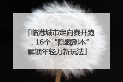 临港城市定向赛开跑，16个“隐藏副本”解锁年轻力新玩法