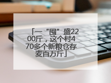 一“囤”盛2200斤，这个村470多个新粮仓存麦百万斤