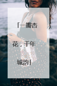 一瓣杏花，千年城韵
