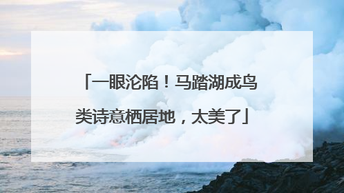 一眼沦陷！马踏湖成鸟类诗意栖居地，太美了