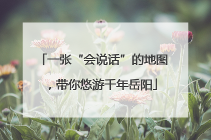 一张“会说话”的地图，带你悠游千年岳阳