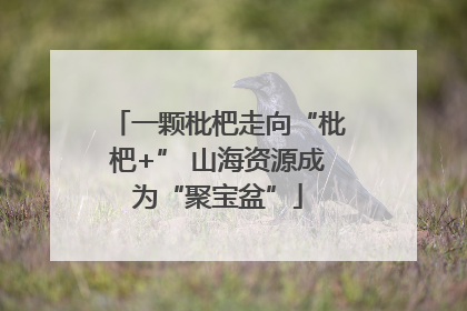 一颗枇杷走向“枇杷+” 山海资源成为“聚宝盆”