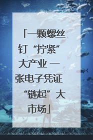 一颗螺丝钉“拧紧”大产业 一张电子凭证“链起”大市场