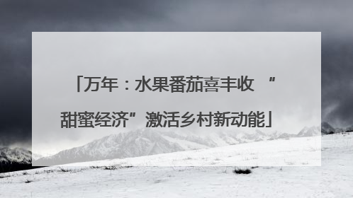 万年：水果番茄喜丰收 “甜蜜经济”激活乡村新动能