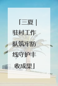 三夏｜驻村工作队筑牢防线守护丰收成果