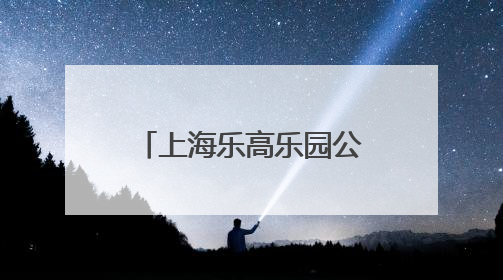 上海乐高乐园公众试运营开启！好不好玩？记者现场打卡体验