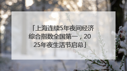 上海连续5年夜间经济综合指数全国第一，2025年夜生活节启幕