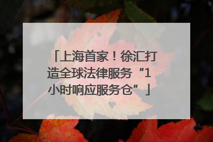 上海首家！徐汇打造全球法律服务“1小时响应服务仓”