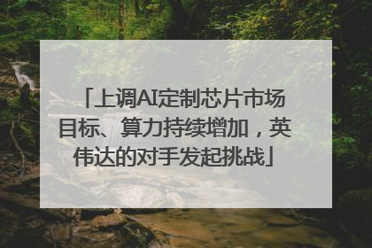 上调AI定制芯片市场目标、算力持续增加，英伟达的对手发起挑战