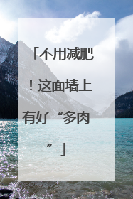 不用减肥！这面墙上有好“多肉”