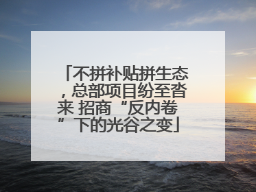 不拼补贴拼生态，总部项目纷至沓来 招商“反内卷”下的光谷之变