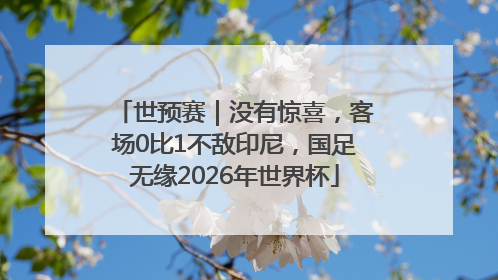 世预赛｜没有惊喜，客场0比1不敌印尼，国足无缘2026年世界杯