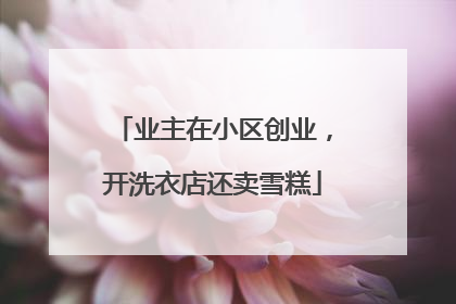 业主在小区创业，开洗衣店还卖雪糕