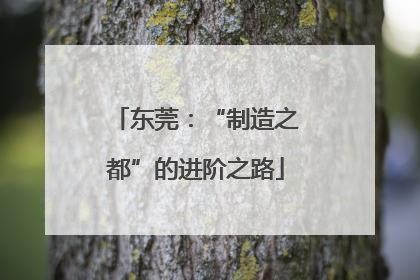 东莞：“制造之都”的进阶之路