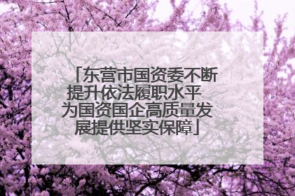 东营市国资委不断提升依法履职水平 为国资国企高质量发展提供坚实保障
