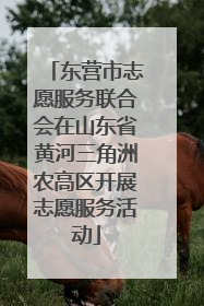 东营市志愿服务联合会在山东省黄河三角洲农高区开展志愿服务活动