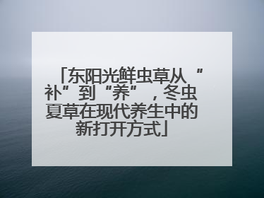 东阳光鲜虫草从“补”到“养”，冬虫夏草在现代养生中的新打开方式