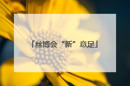 丝博会“新”意足