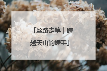 丝路走笔｜跨越天山的握手