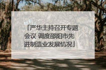 严华主持召开专题会议 调度邵阳市先进制造业发展情况