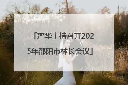 严华主持召开2025年邵阳市林长会议