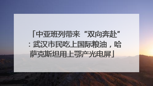 中亚班列带来“双向奔赴”：武汉市民吃上国际粮油，哈萨克斯坦用上鄂产光电屏