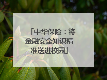 中华保险：将金融安全知识精准送进校园
