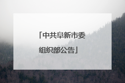 中共阜新市委组织部公告