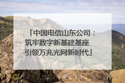中国电信山东公司：筑牢数字新基建基座 引领万兆光网新时代
