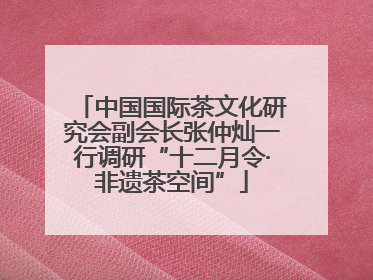 中国国际茶文化研究会副会长张仲灿一行调研“十二月令·非遗茶空间”