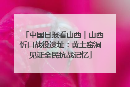 中国日报看山西｜山西忻口战役遗址：黄土窑洞见证全民抗战记忆