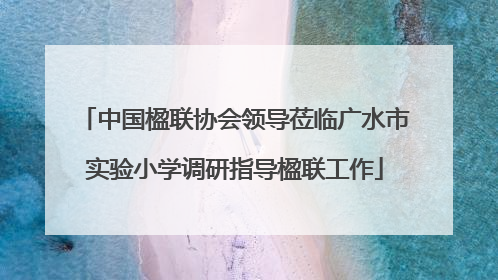 中国楹联协会领导莅临广水市实验小学调研指导楹联工作