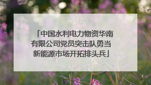 中国水利电力物资华南有限公司党员突击队勇当新能源市场开拓排头兵
