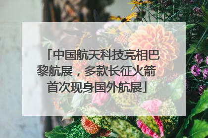 中国航天科技亮相巴黎航展，多款长征火箭首次现身国外航展